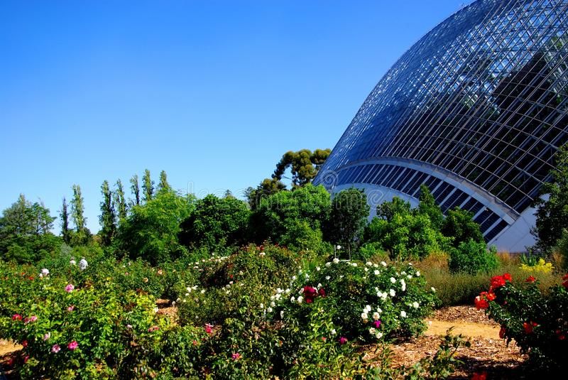 Adelaide Botanic Garden Youtube