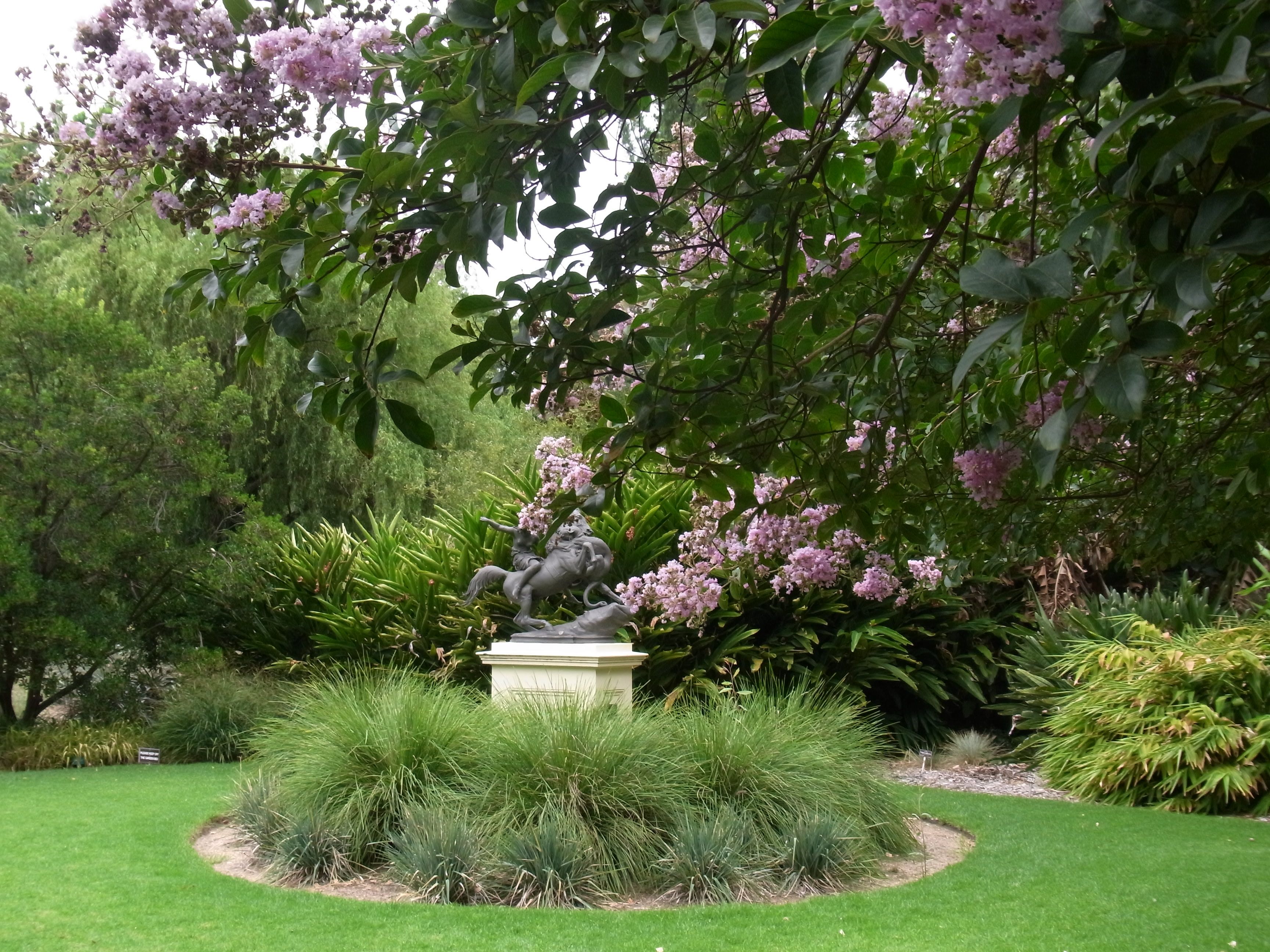 South Australia Jardines