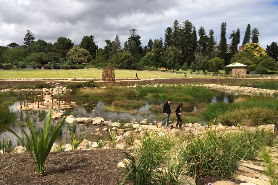 Adelaide Botanical Gardens Botanical Gardens