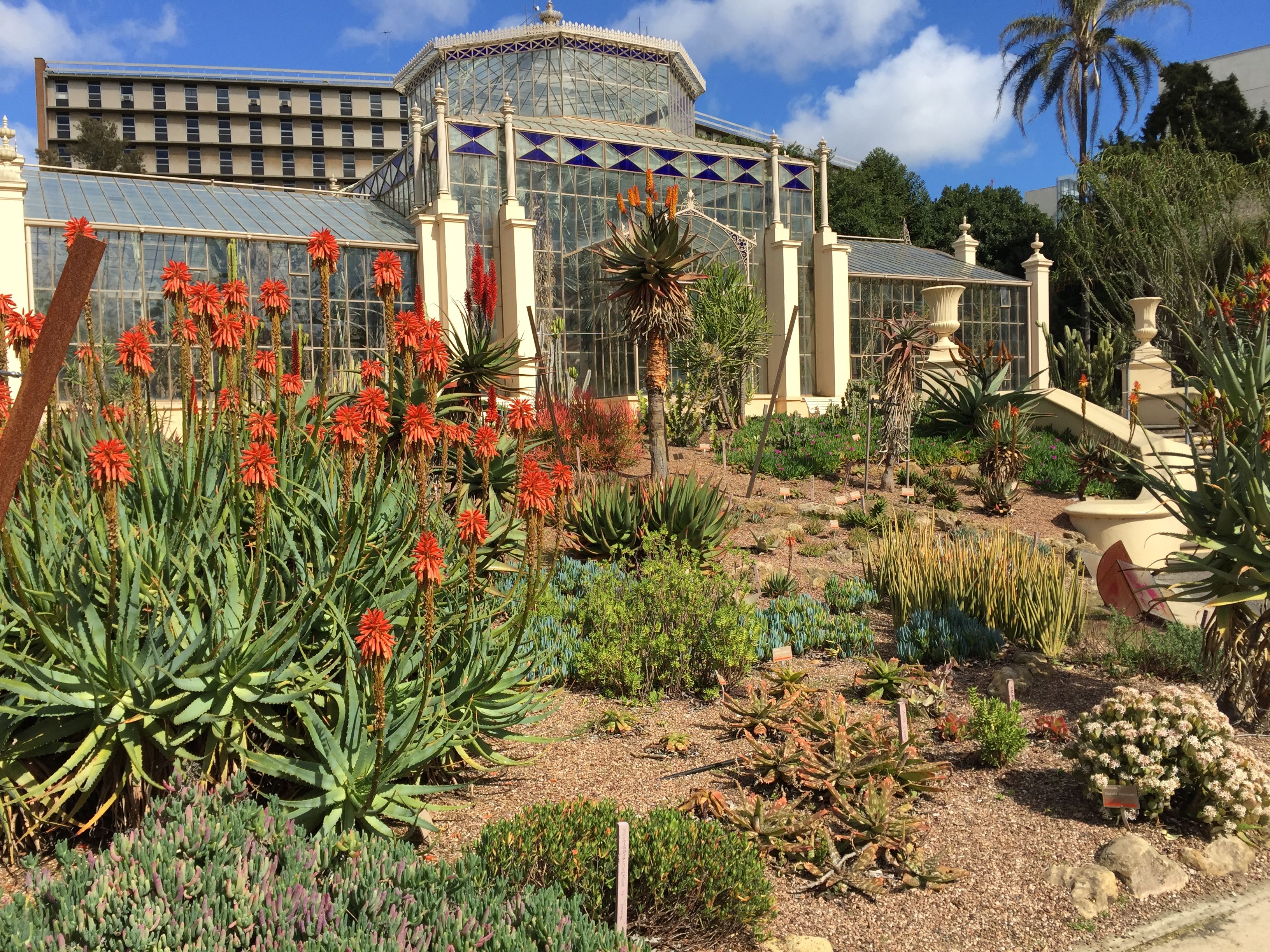 Adelaide Botanical Gardens