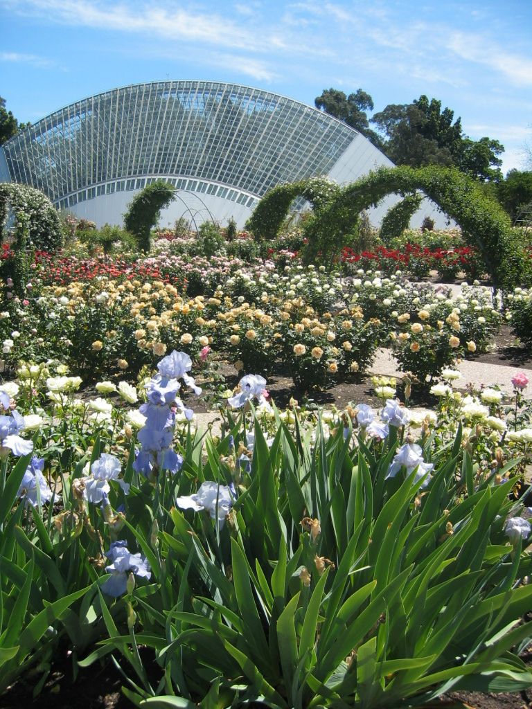Adelaide Botanical Gardens South Australia