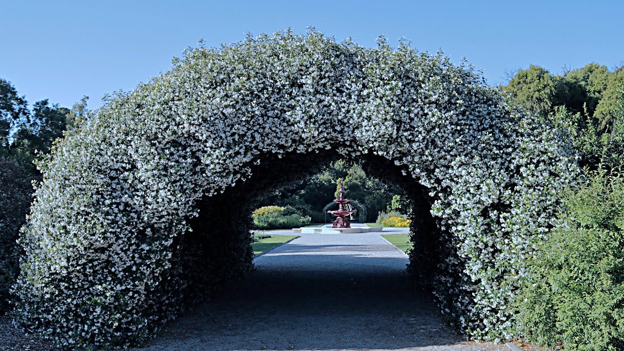 Green Tunnel Australia Travel