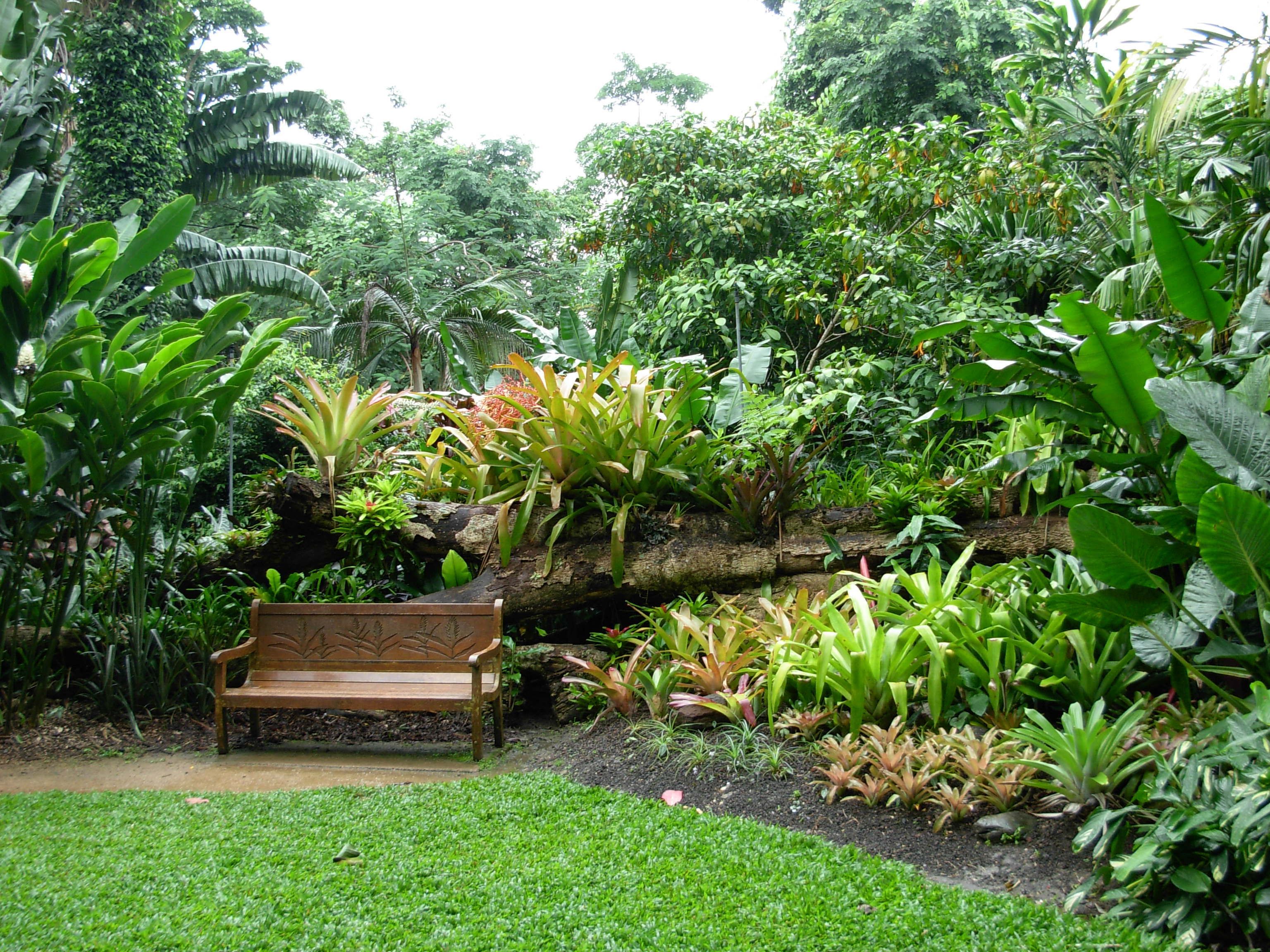 Rainforest Conservatory