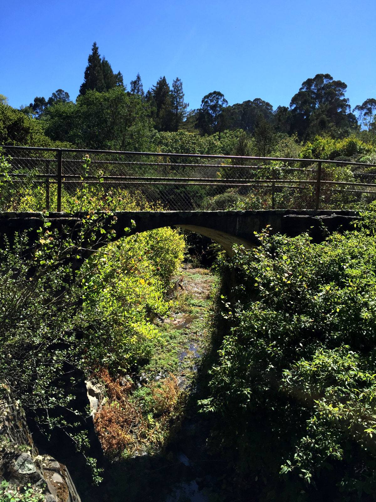 Bellevue Botanical Garden