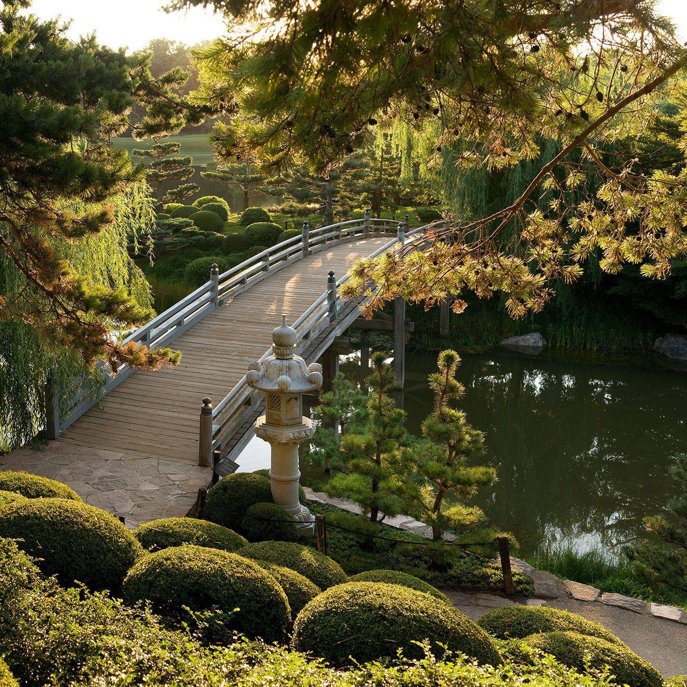 The Autumn Garden Bridge