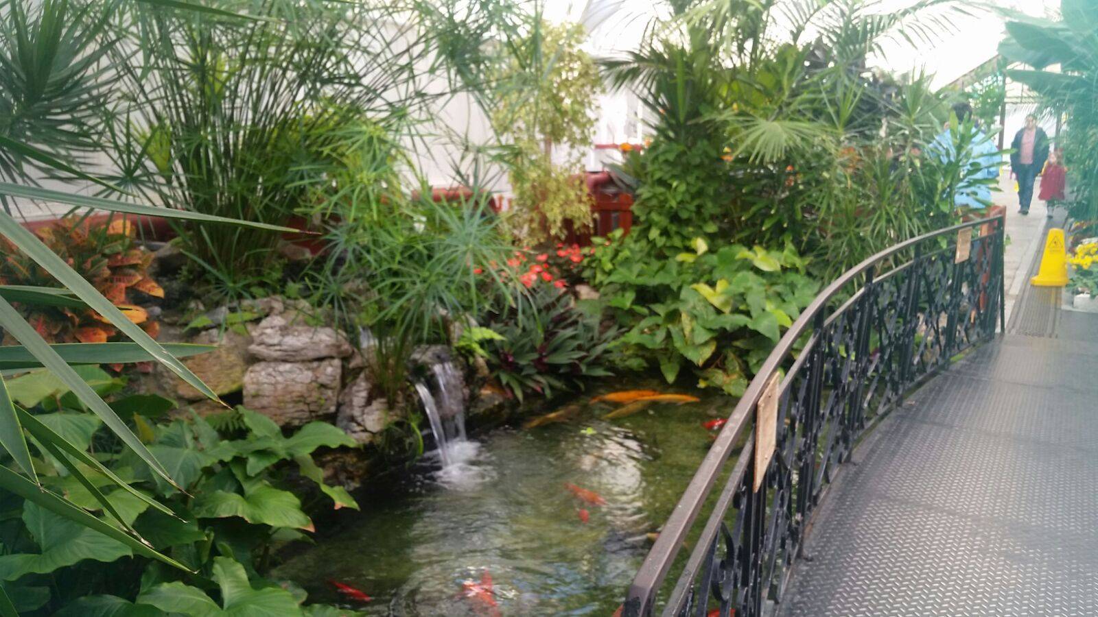 Missouri Botanical Garden