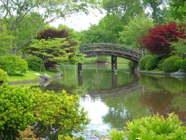 Japanese Garden Bridge Japanese Garden