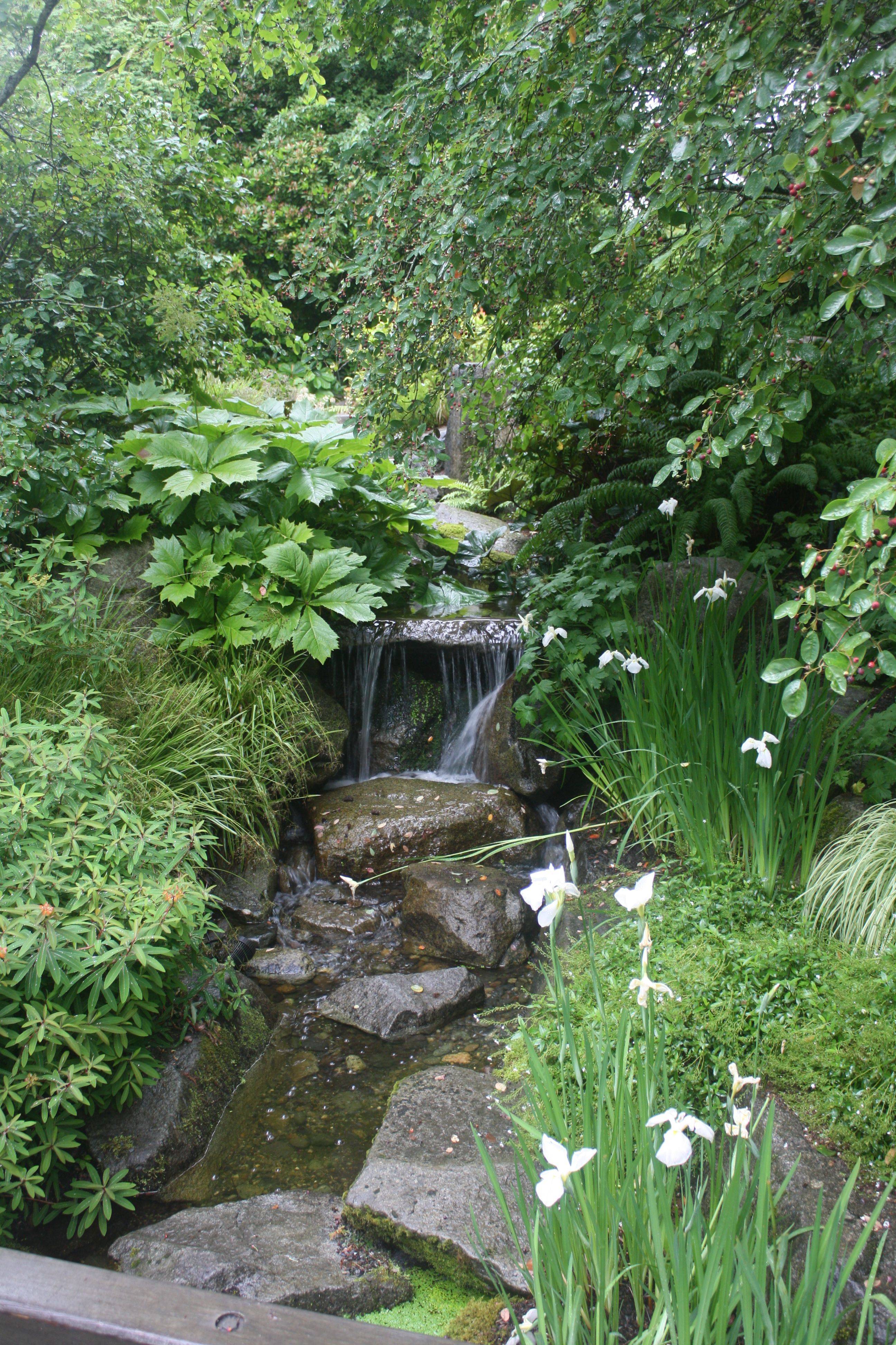The Singapore Botanic Gardens Singapore Botanic
