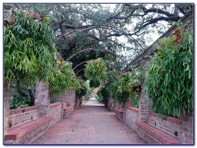 The New Orleans Botanical Garden