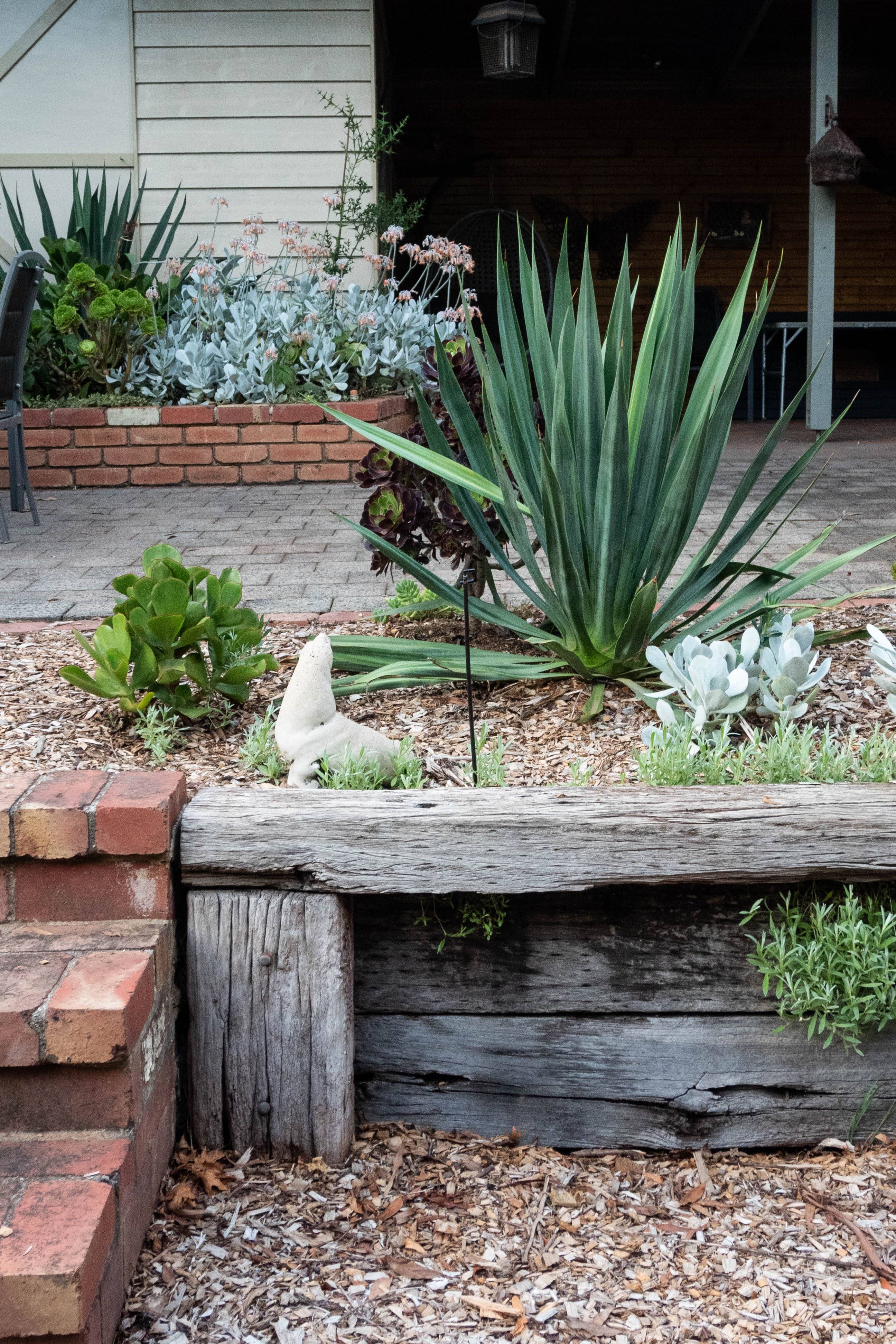 Streatham Jo Wyeth Garden Design