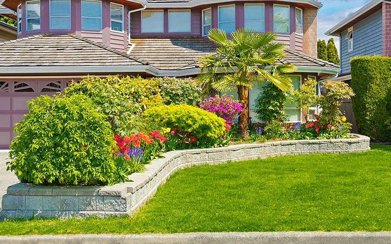 Gold Show Gardens Accent Garden