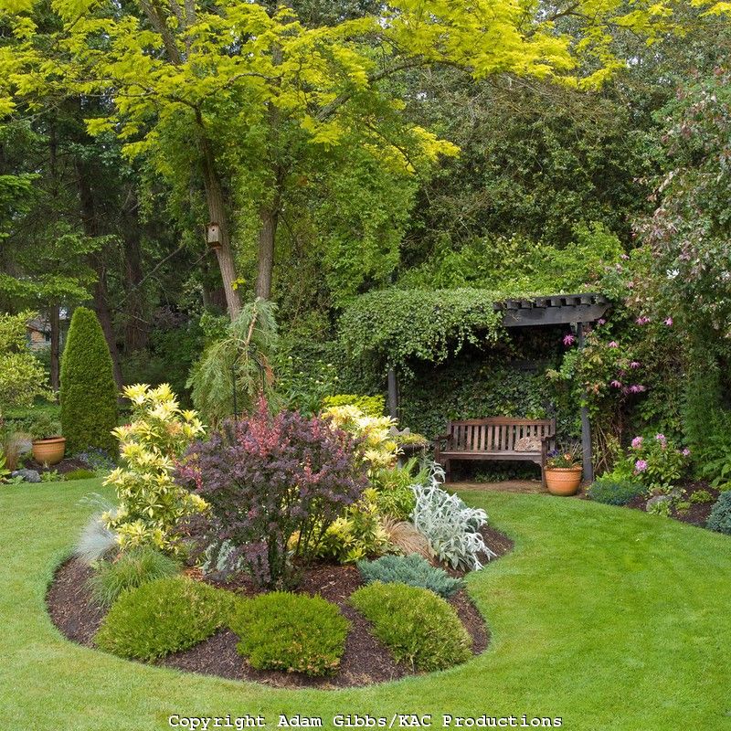 Backyard Landscaping Ideas
