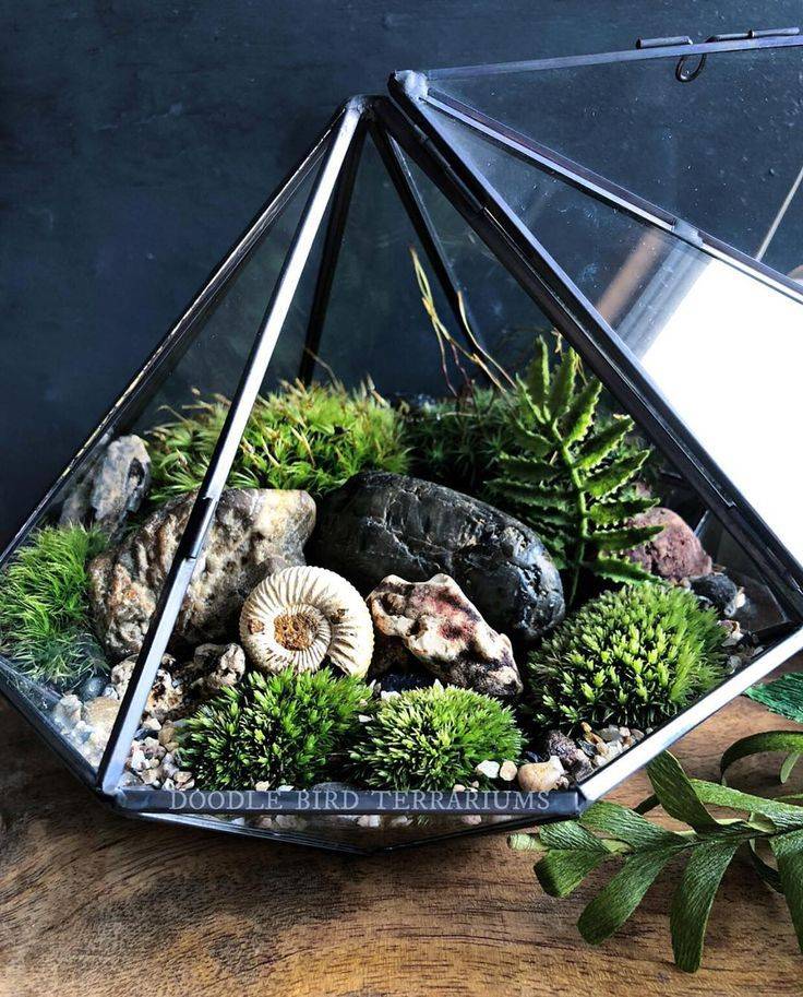 Carved Wood Sculpture