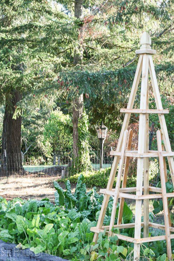 17 Garden Pyramid Trellis Ideas To Try This Year SharonSable