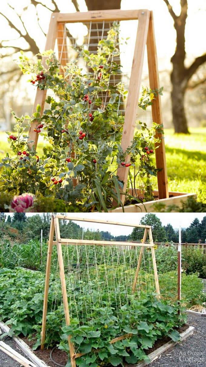 Diy Garden Trellis Gardening Sun