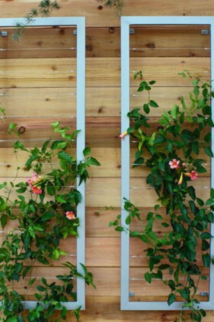 24 Unusual Garden Trellis Ideas You Should Check SharonSable