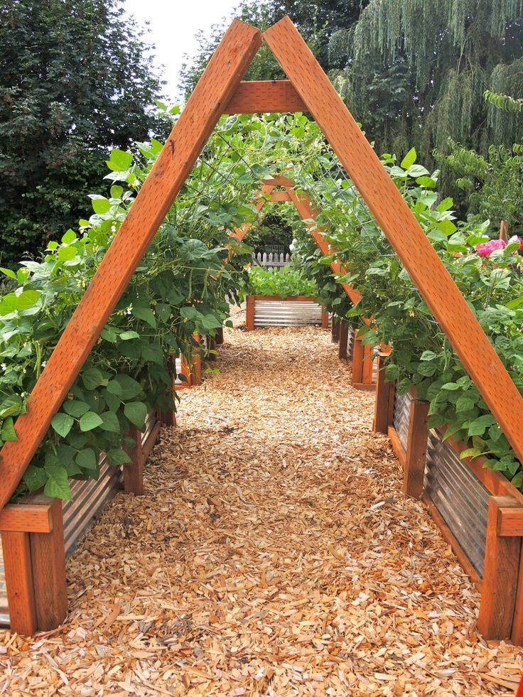 Fantastic Creative Garden Trellis Ideas