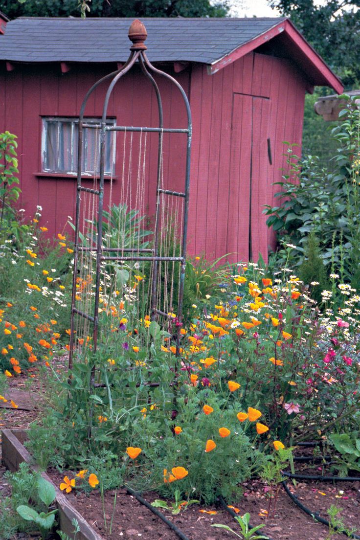 Copper Trellis