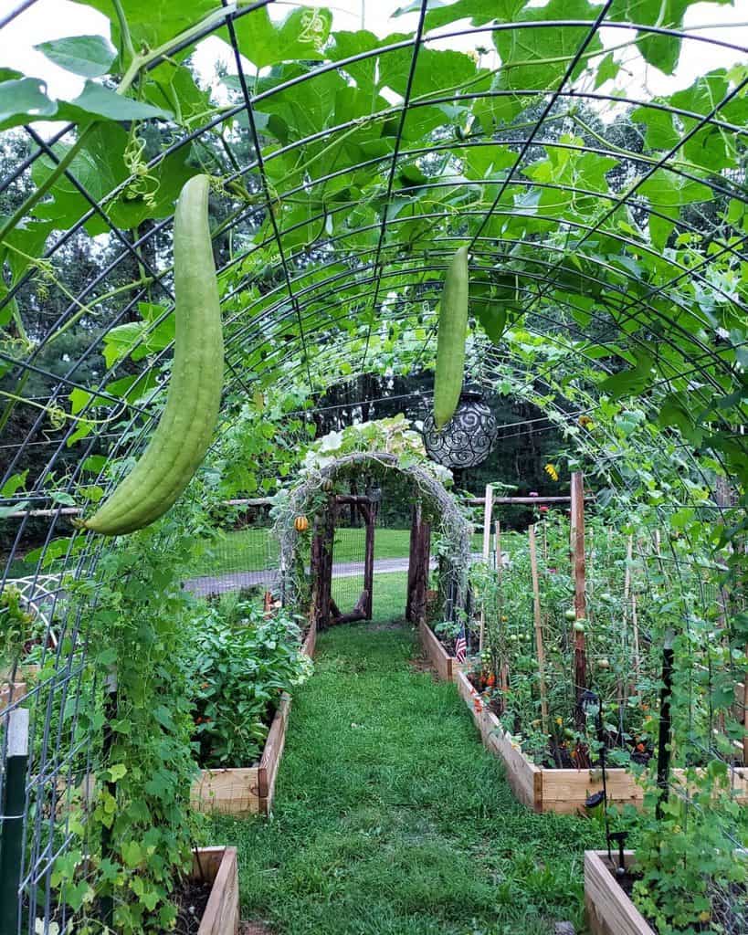 Elegant Solid Narrow Wall Trellis