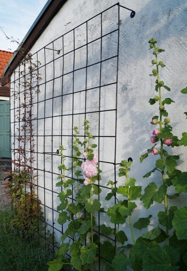Garden Trellis Ideas