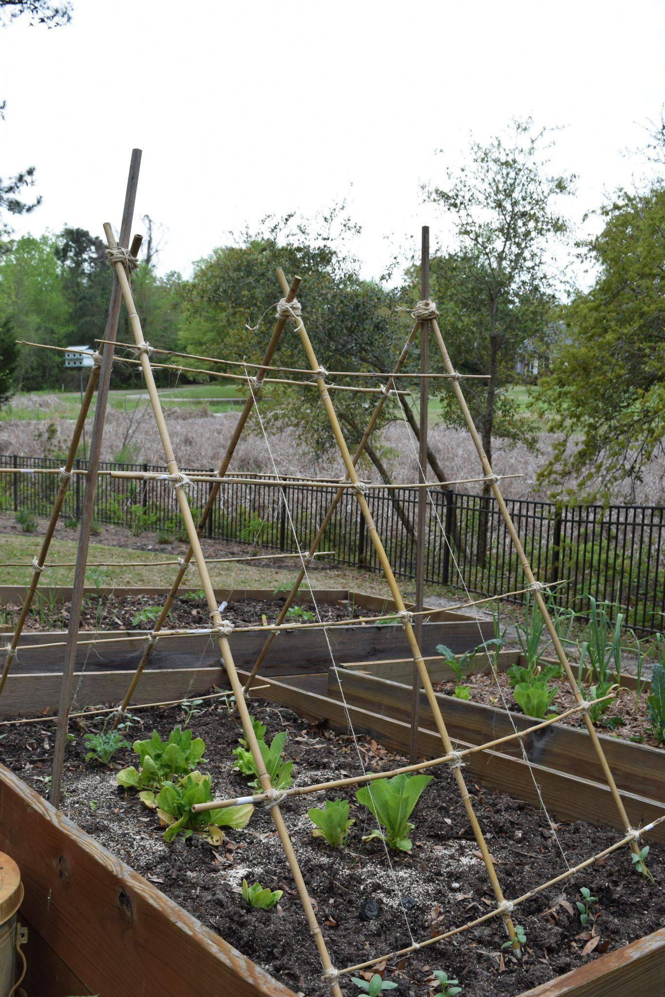 A Rusty Old Garden Fence