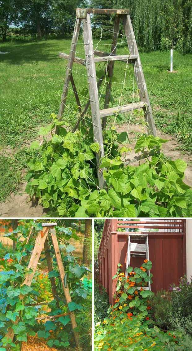 Antique Garden Trellises Outdoor Decorations Make A Simple And