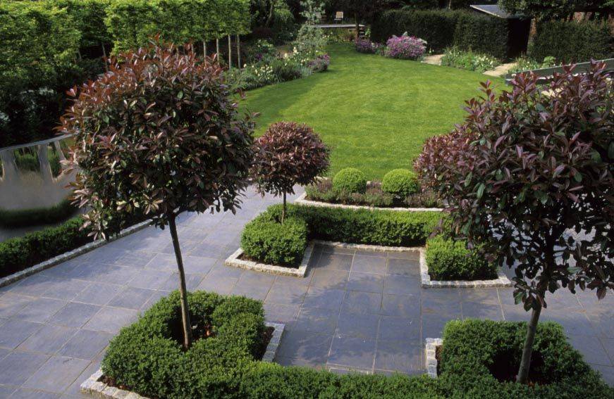 A Cool Vegetable Garden Layout