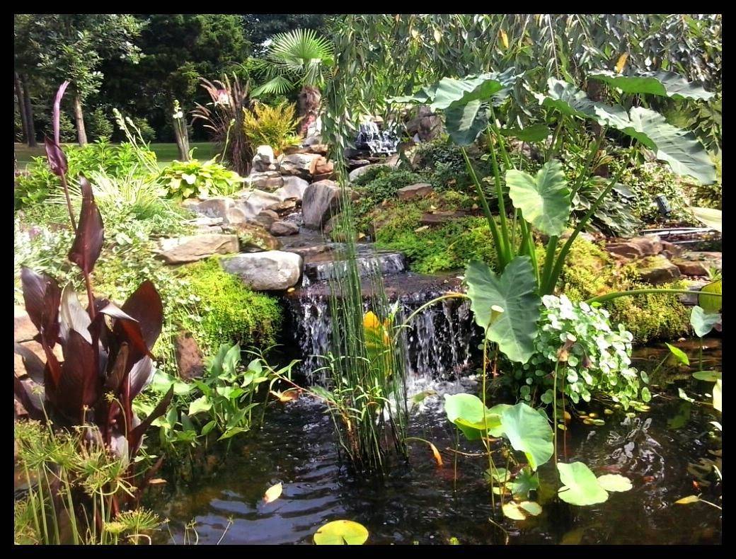 Garden Design Hd Background Of Garden Design Landscaping Stock