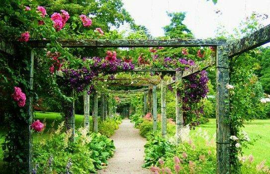 The Most Beautiful Gardens