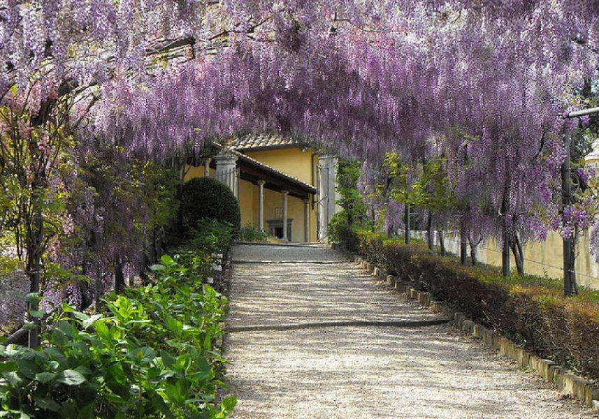 Bardini Gardens Trouxe De Volta