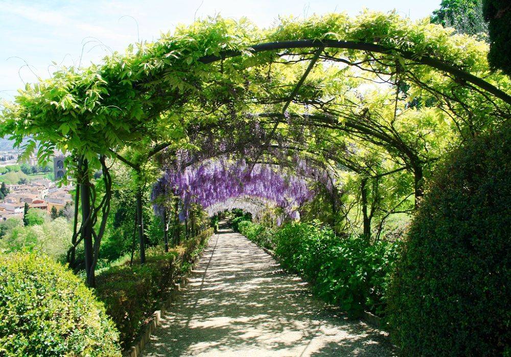 An Italian Renaissance Garden