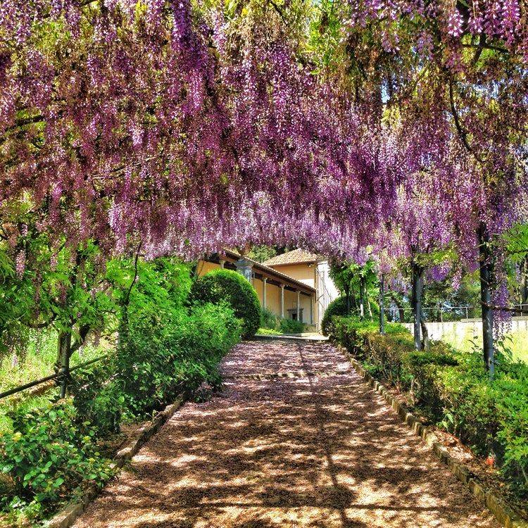 Il Giardino Bardini Di