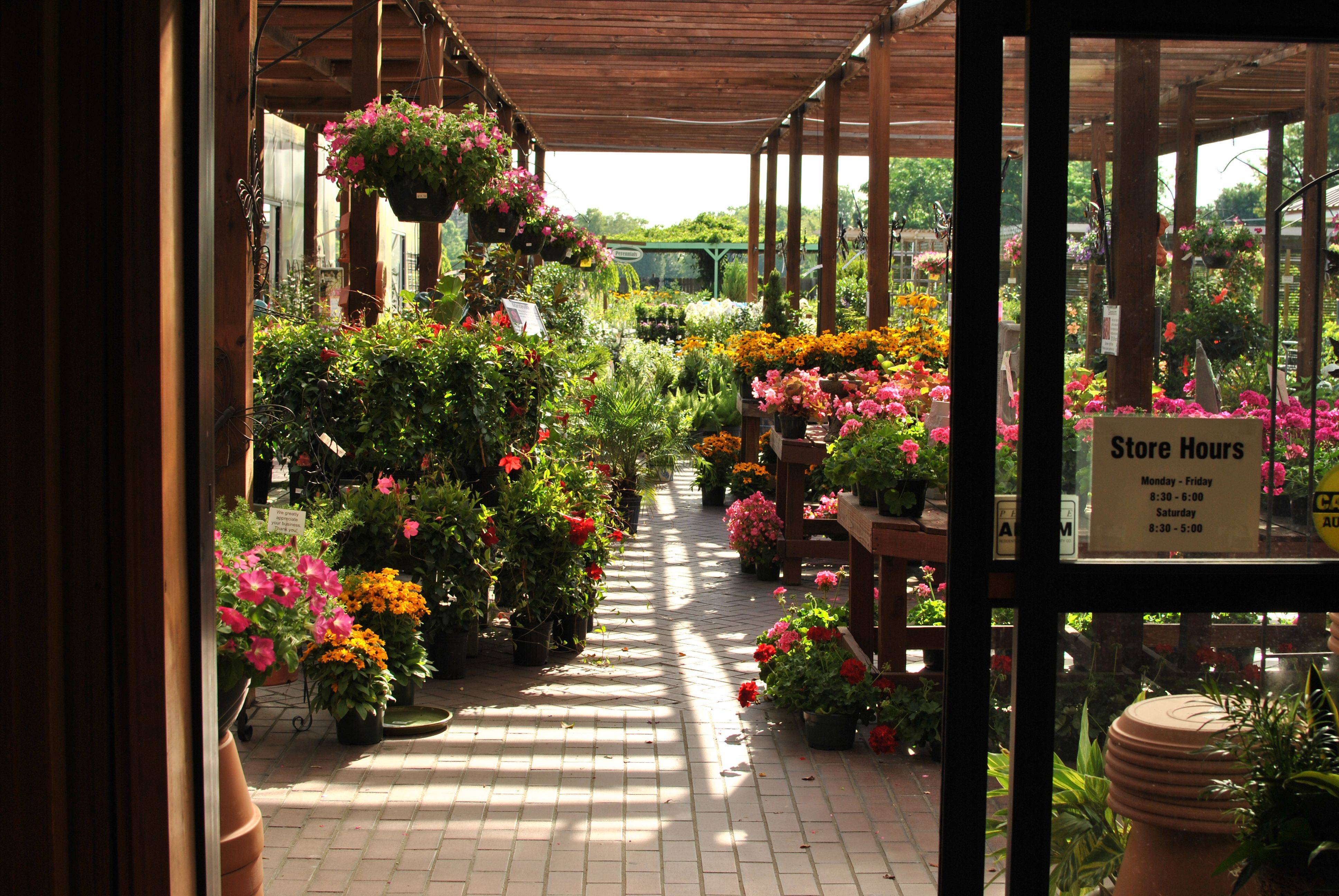 The Botanical Garden