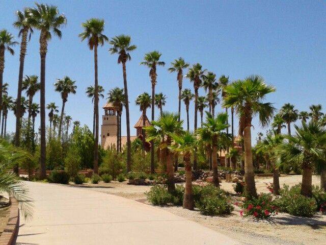 The Windmill Winery Florence Arizona Garden