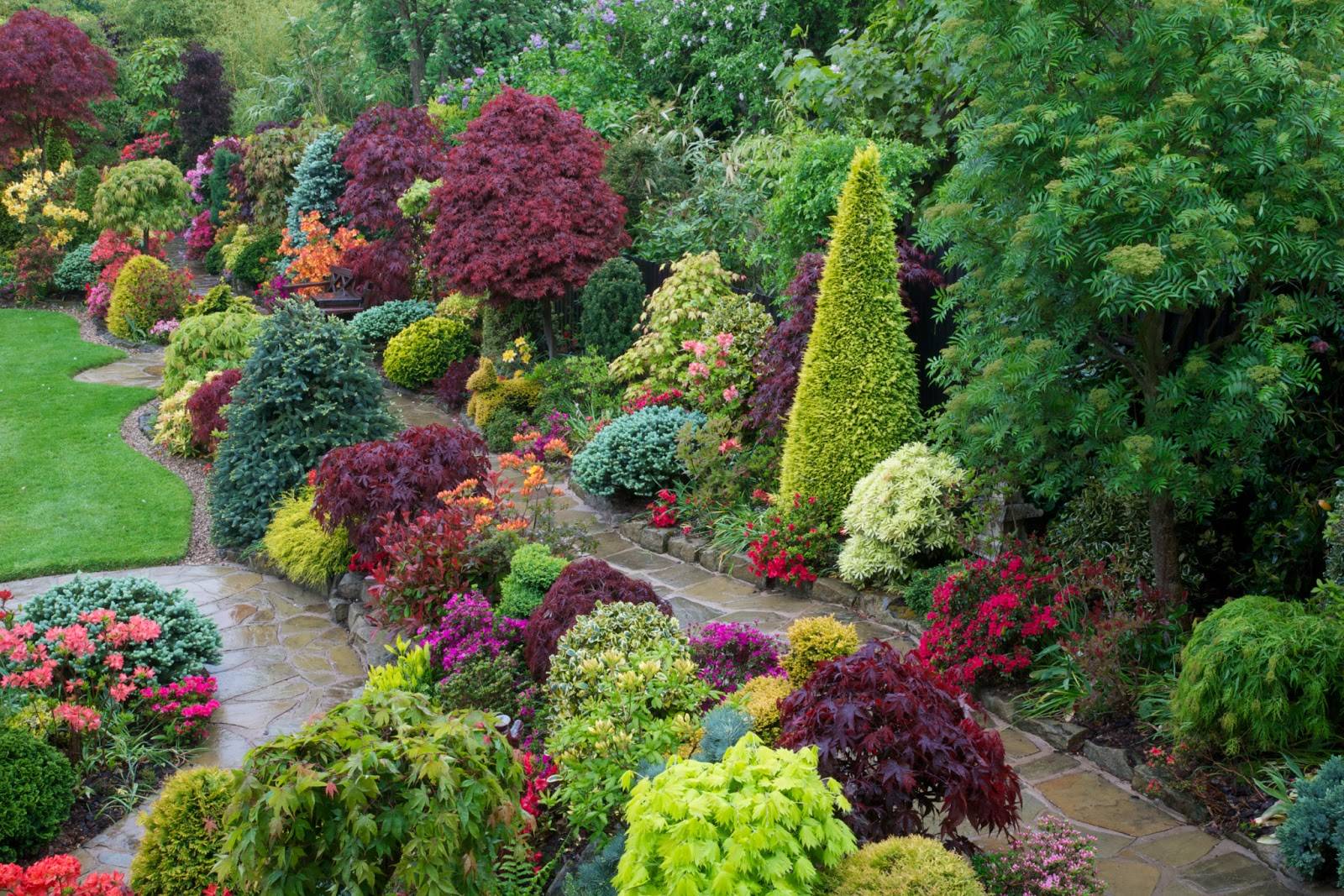Summer Flower Garden Wallpaper
