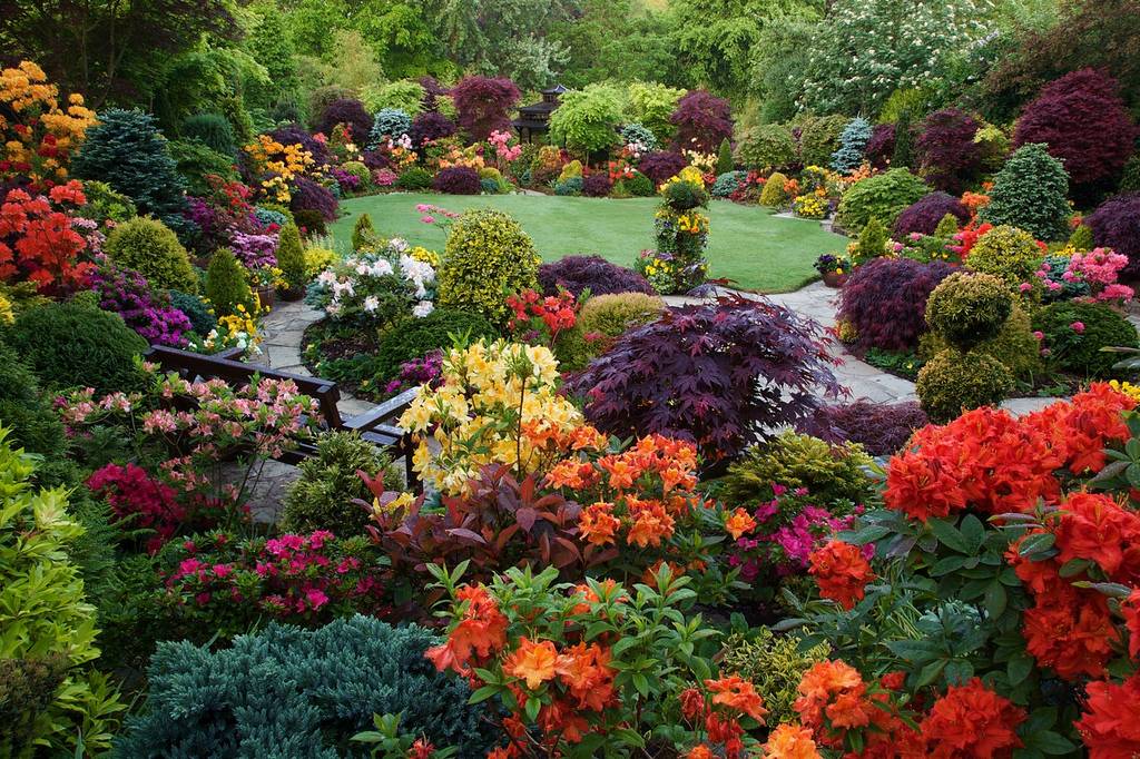 All Season Flower Gardens Designing Year Round Gardens