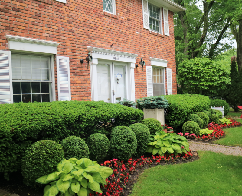 The Most Beautiful Home Gardens