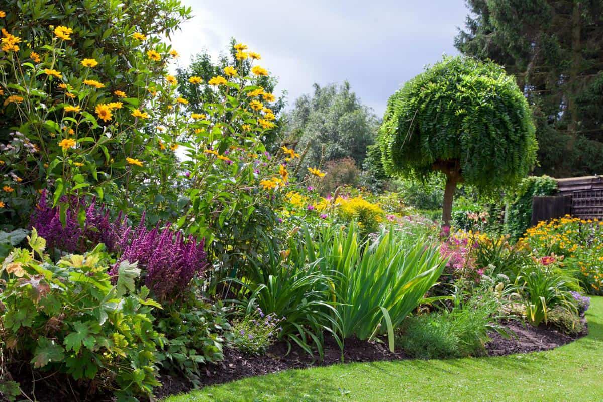 A Garden