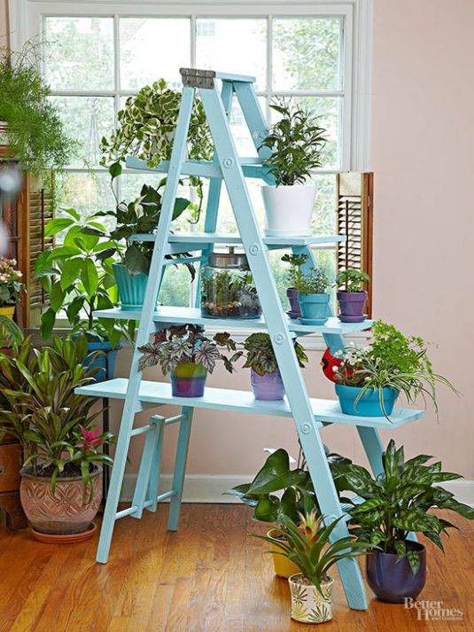 Wooden Ladder Garden