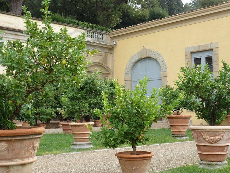 The Boboli Gardens Of Pitti Palace Florence Italy Florence Italy