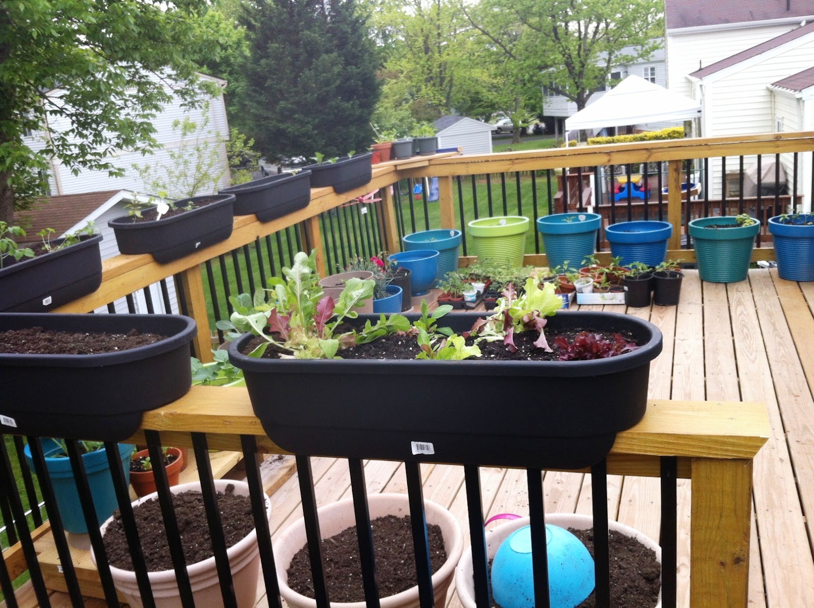 Beautiful Container Gardening Ideas Container Gardening Patio