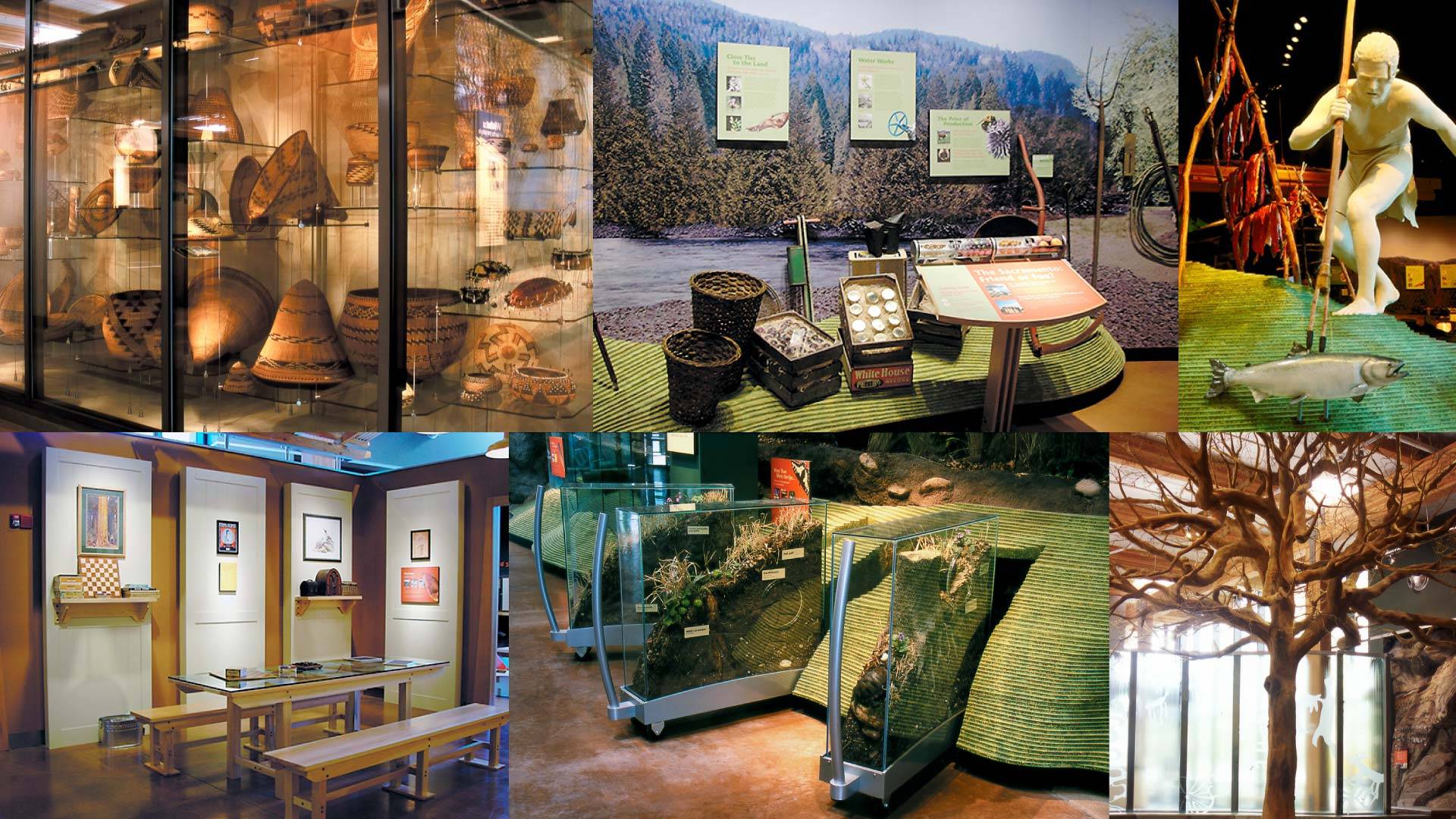 Yale Peabody Museum