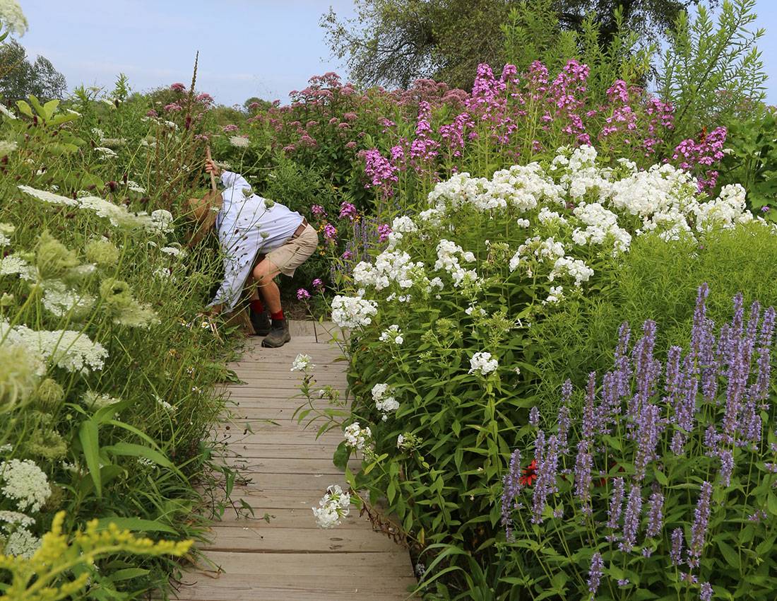 Pollinator Habitat