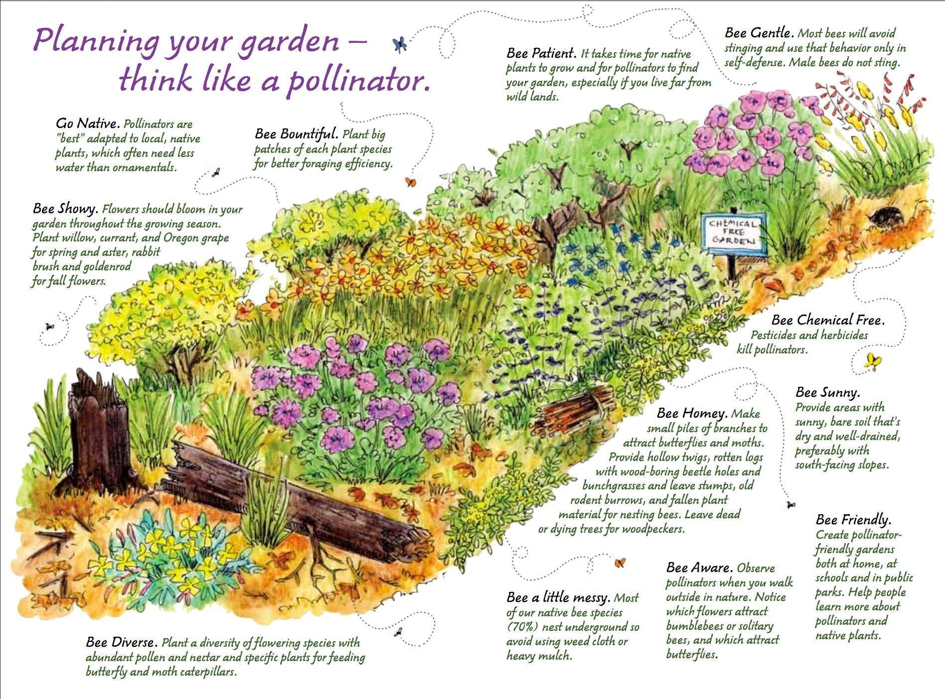 A Beautiful Bee Friendly Garden
