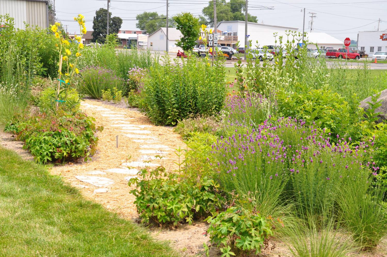 A Stylish Pollinator Garden Finegardening
