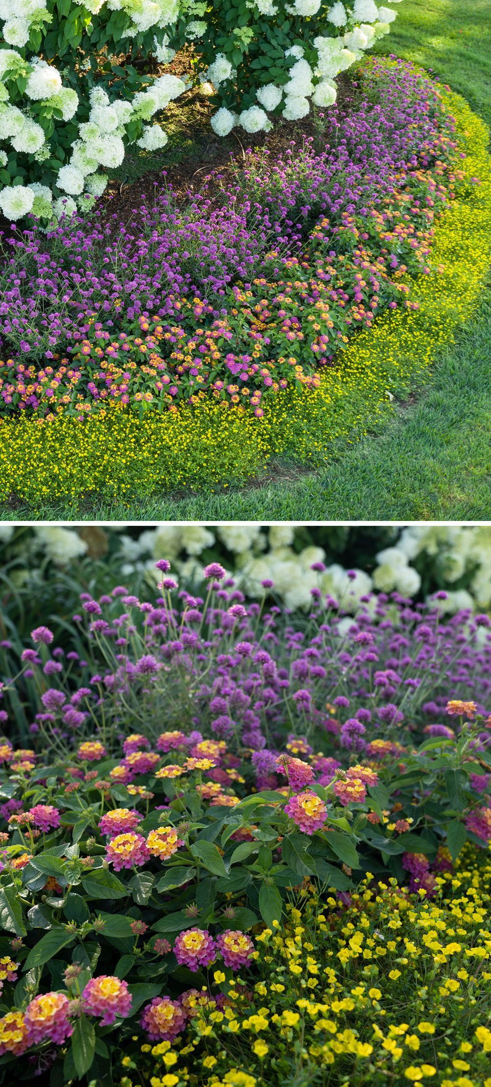 Pollinator Garden Flower Garden Plans