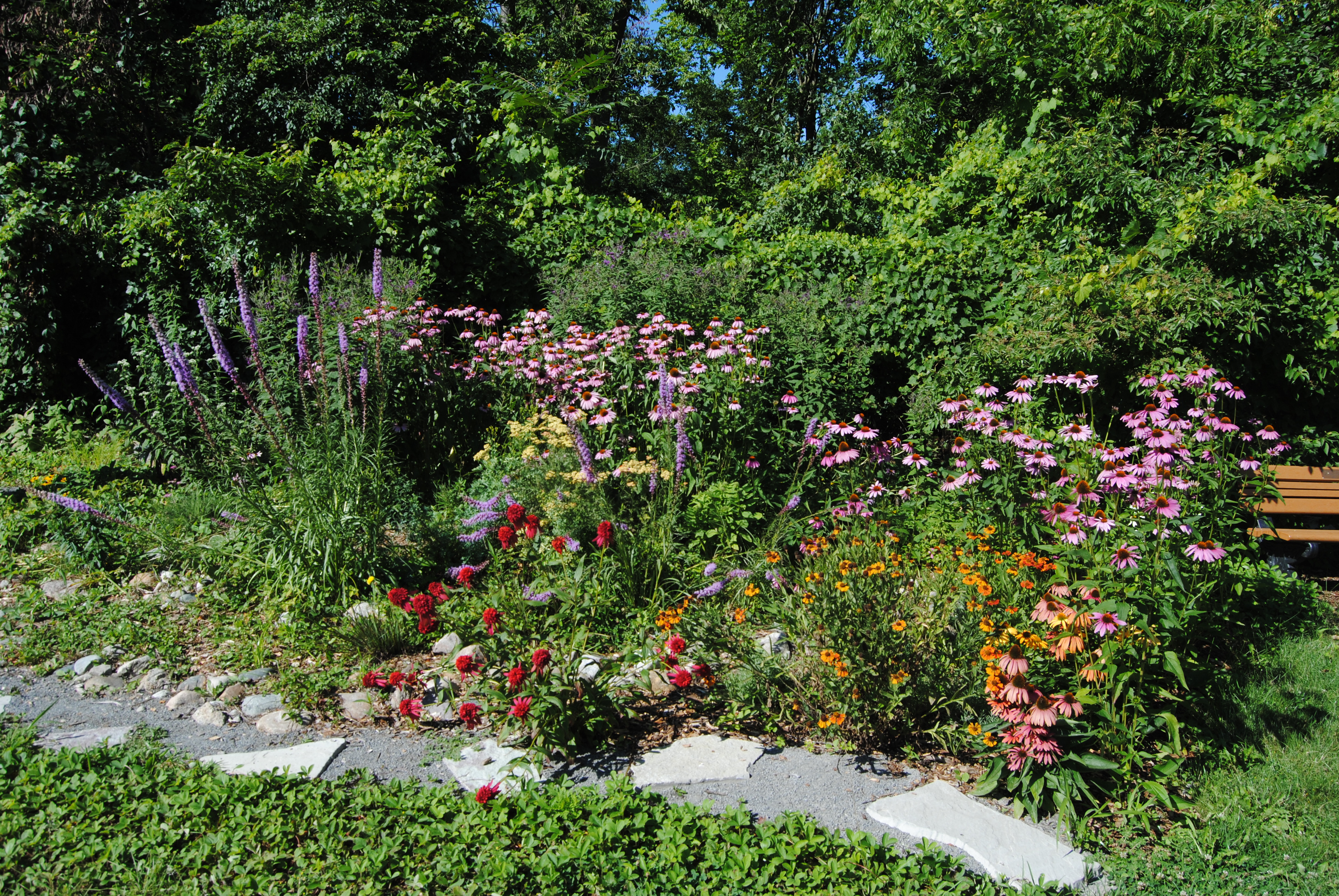 Pollinator Gardens