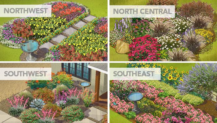 Pollinator Gardens Colorado Google Search Cottage Garden Design