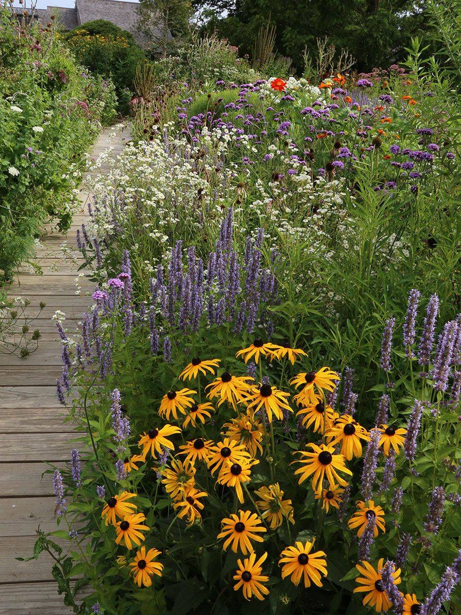 Beautiful Small Cottage Flowers Garden