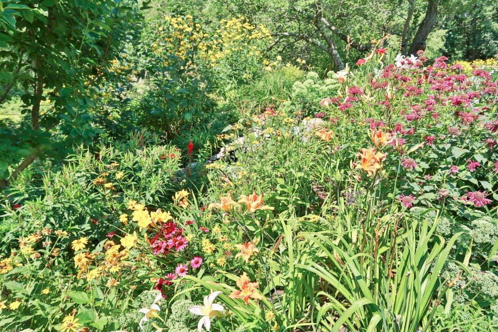 A Pollinatorfriendly Garden